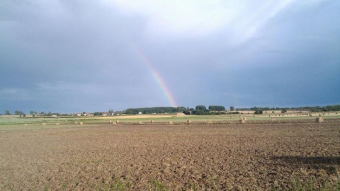 Gostyń-Jarosławki (jezioro)