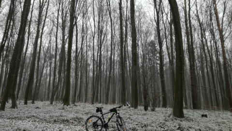 Wietrzno OSP przez Wały Do Wietrzno Osp