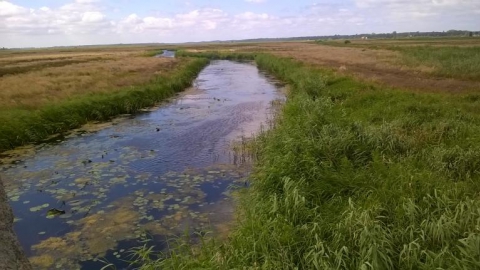 Mrzeżyno-Trzebiatów-Mrzeżyno