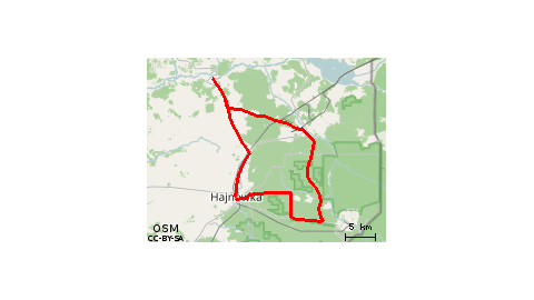 Bialowieza Forest