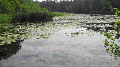 Nad Jezioro Kopalińskie