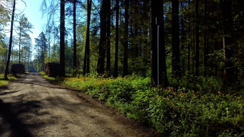 Hajnówka - Masiewo - Hajnówka 