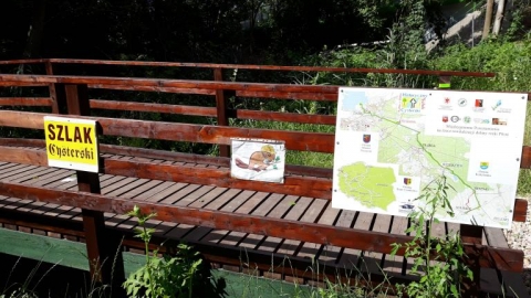 Kółeczko po Puszczy Bukowej