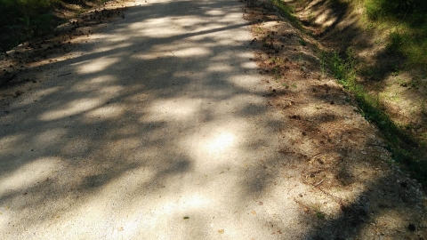 Wawal - Biała Góra