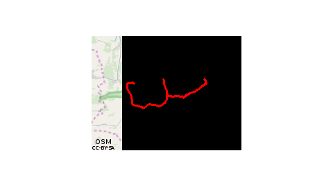 Wieleń
