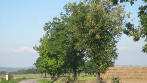 Trójkąt Kałkowski