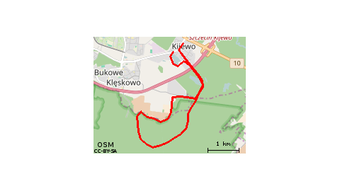 Puszcza Bukowa po obiedzie ;-)))