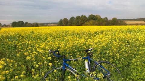 na niiedzielny wypad 