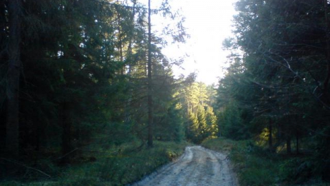 Koszalin - Mashkowo - Lubiatowo