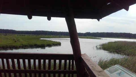 Wyprawa do rezerwatu Imielitowy Ług