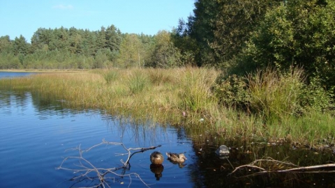 Rumia - Piaśnica - Rumia