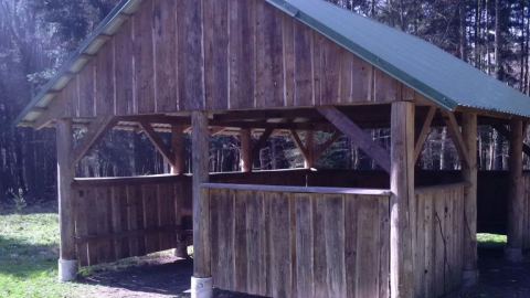 Rzeszów - Czudec trasa przez Wielki Las