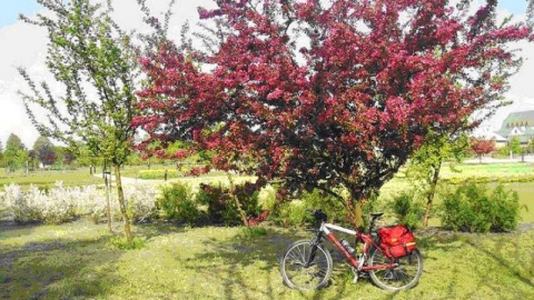 Pińczów - Busko Zdrój