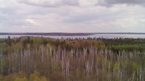 Start Wilkasy-Meta Wilkasy 