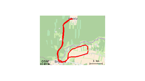 Ożarowice - Bibiela - Ożarowice