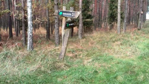 Spotkanie z drapieżnikiem 