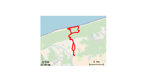 Konie Plaża Wieczór 