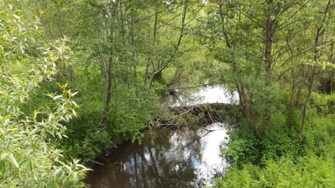 Bieliny-Makoszyn-Bieliny