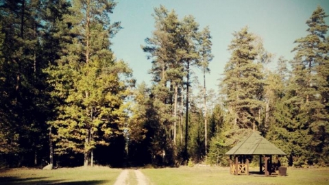 Białowieża-Siemianówka-Narewka-Bialow.