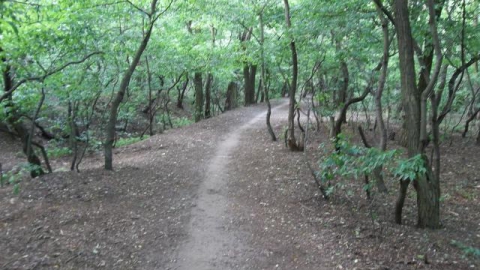 Hutnicza - Strzelnica - Stary Lubin - Hutnicza