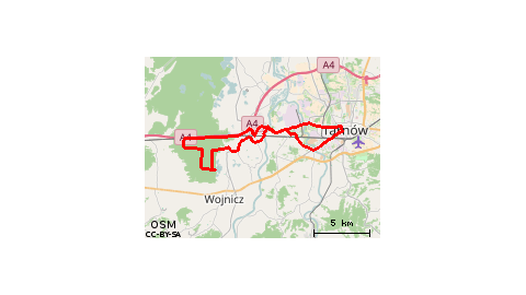 Tarnów - las radłowski