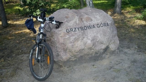 z Lubina do Polkowic przez Rynarcice