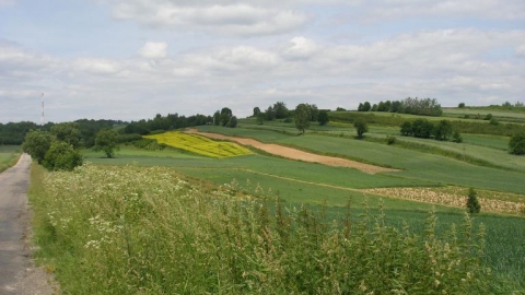 Zielony szlak gminy Krzczonów. 