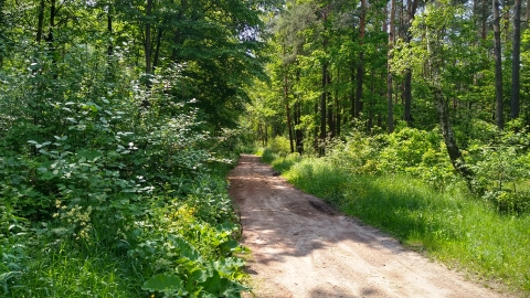 Niedziela Po Okolicy