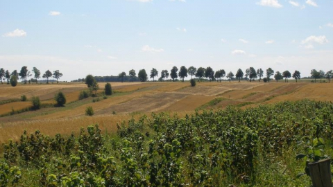 Pętla po malowniczych terenach. 