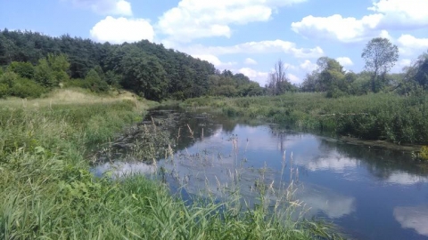 Siedlce-Kisielany-Siedlce