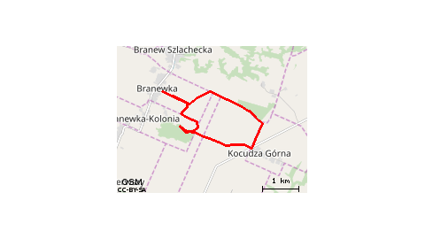 Kocudza