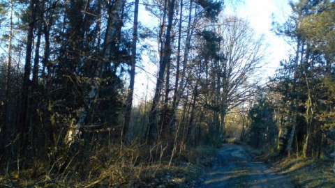 Koszalin - Lubiatowo