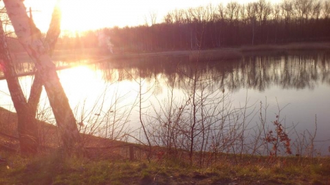 Park Górnik,Rzęsa ,Park Pszczelnik