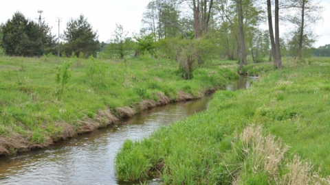 Wycieczka po Puszczy Białej
