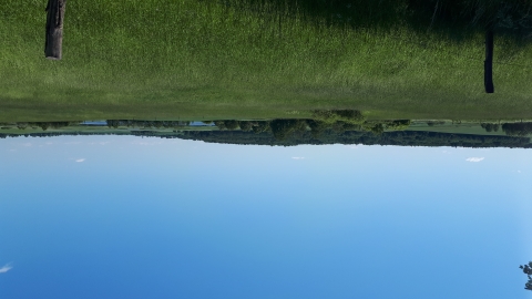 Droga Wojewódzka 530