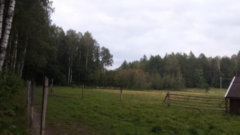 Ciechanów-Szulmierz