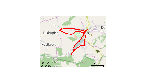 Biskupice - Pilica - Zarzecze - Pilica - Biskupice