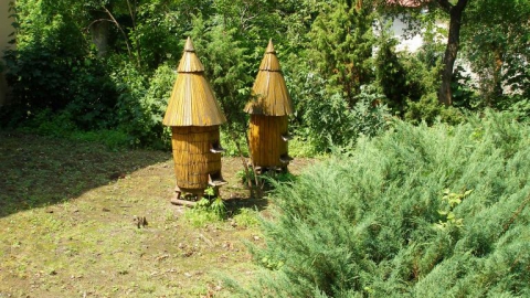 Pętla Janów Pdlaski - Terespol 