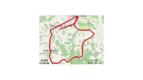 Błażowa Górna 110