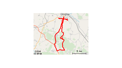 Władysława Łokietka