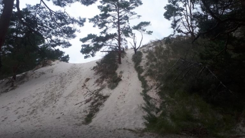 Gdańsk-Hel-Kołobrzeg-Świnoujście-Szczecin