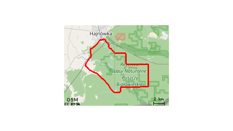 Bialowieza Forest