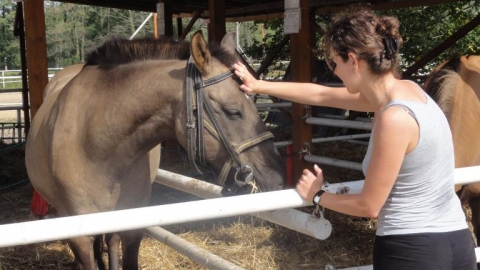 warszawa-kanie-warszawa