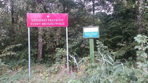 Siedlce-Broszków-Siedlce