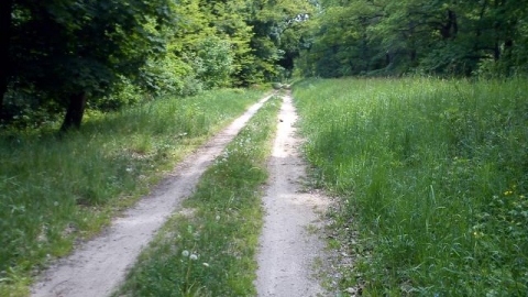 z Wyszanowa do Głogowa