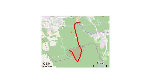 Kochłowice Niedziela