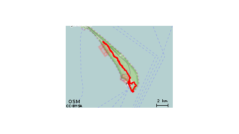 Steyera 6A Jurata Jel