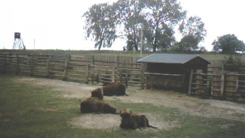 Świnoujście - Karnin