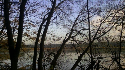 Wałami Odry przez Łężczok