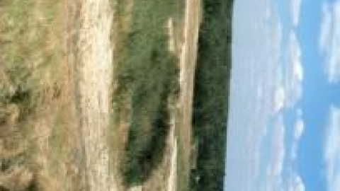 Śląsko-Opolska Pustynia